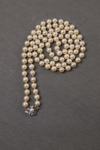 Perlenkette Mit Brosche Und Sechs Saphiren Bild
