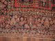 Antiker Us Teppich Antique Collectors Rug Ca.  378 X 271 Cm 117 Teppiche & Flachgewebe Bild 9