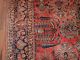 Antiker Us Teppich Antique Collectors Rug Ca.  378 X 271 Cm 117 Teppiche & Flachgewebe Bild 3