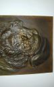 Bronzerelief Leonardo Da Vinci Signiert Old Bronze Relief Kupfer Bild 2