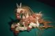 Sammler Marionette Pferd Holz Geschnitzt Puppe Art Deko 19.  Jhdt. Antikspielzeug Bild 6