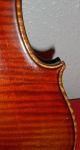 Sehr Schöne Alte 4/4 Meister Geige Mit Zettel Old Master Violin Antik Violino Saiteninstrumente Bild 7