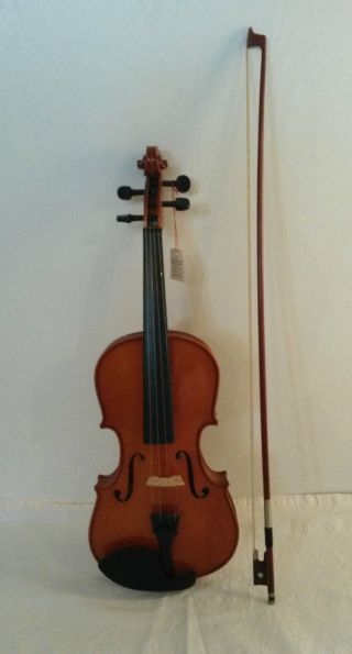 Geige Mit Besen Bild