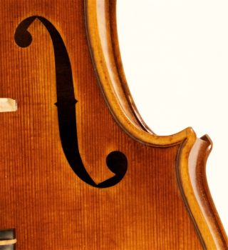 4/4 Geige Top Violon Violin Cello Z.  :augusto Liorni 1900 Viola Bild