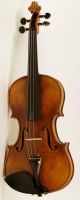 4/4 Geige Top Violon Violin Cello Z.  :augusto Liorni 1900 Viola Saiteninstrumente Bild 1