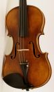 4/4 Geige Top Violon Violin Cello Z.  :augusto Liorni 1900 Viola Saiteninstrumente Bild 2