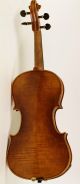 4/4 Geige Top Violon Violin Cello Z.  :augusto Liorni 1900 Viola Saiteninstrumente Bild 3