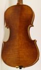 4/4 Geige Top Violon Violin Cello Z.  :augusto Liorni 1900 Viola Saiteninstrumente Bild 4