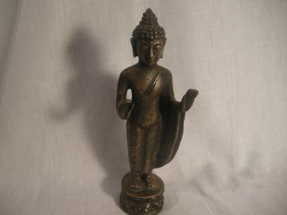 Buddha Bronze Bild