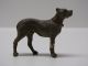 Elastolin Hund Dogge Massefigur 1930 Elastolin & Lineol Bild 1
