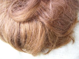 Alte Puppenteile Kupferrote Kurz Haar Perücke Vintage Doll Hair Wig 40 Cm Boy Bild