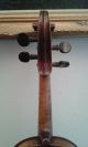 Alte Geige Alte Bratsche Alte Cello - 4/4 Geige - Adolf Sprenger Stuttgart 1914 Saiteninstrumente Bild 5