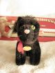 Steiff Burri Kater - Burri Tom Cat Nr.  1496,  10 Mit Kfs Tiere Bild 1