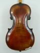 Alte 4/4 Geige / Violine Restored Mit Inschrift: Jakobus Stainer Saiteninstrumente Bild 3