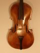 Very Old Baroque Violin Alte Brarock Geige Violine Italy Enrico Maddaloni 1782 Saiteninstrumente Bild 1