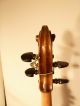 Very Old Baroque Violin Alte Brarock Geige Violine Italy Enrico Maddaloni 1782 Saiteninstrumente Bild 5