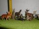 Uralt Tiere Hase Reh Ziege Fuchs Vogel Erzgebirge Masse Massefiguren Massetiere Gefertigt vor 1945 Bild 4