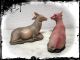 2 Alte Krippenfiguren Ochse,  Esel Liegend Aus Bakelit Nativity Scene Ox Donkey Krippen & Krippenfiguren Bild 1