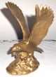 Dekorative Bronze Messing Figur,  Skulptur,  Statue,  Adler Vogel Tier Gold Farben Bronze Bild 1