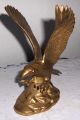 Dekorative Bronze Messing Figur,  Skulptur,  Statue,  Adler Vogel Tier Gold Farben Bronze Bild 2