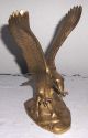 Dekorative Bronze Messing Figur,  Skulptur,  Statue,  Adler Vogel Tier Gold Farben Bronze Bild 5