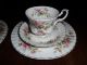 Royal Albert Bon China Moos Rose 1 Kaffeegedeck & 1 Kuchenteller & Unterteller Nach Form & Funktion Bild 1