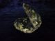 Swarovski Kristall Wunderschöne Muschel Mit Zertifikat In Ovp,  Schwanenlogo Kristall Bild 2
