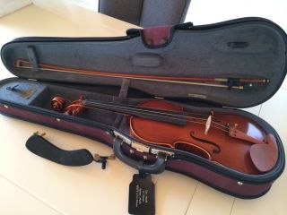 Violine 4/4 Alois Sandner / Komplett Mit Rg  Bild