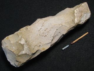 4800j.  A: RaritÄt Steinbeil 195mm Steinzeit Neolithikum Flint Einzelgrab Kultur Bild