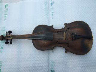 Geige 1744? Bild