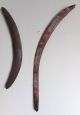 Boomerang Aboriginal (bumerang) Internationale Antiq. & Kunst Bild 8