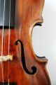 Sehr Alte Italienische Violine Very Old Violin Violon,  Violino Saiteninstrumente Bild 2