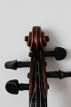 Sehr Alte Italienische Violine Very Old Violin Violon,  Violino Saiteninstrumente Bild 4