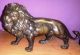 Bronze/messing Figur Skulptur LÖwe Lion Im Antik Stil Bronze Bild 3