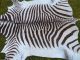 Neues Bergzebrafell / Zebrafell / Dekoration / Kudu / Zebra / Afrika 3 Jagd & Fischen Bild 1