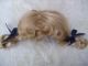 Alte Puppenteile Hellblonde Zoepfe Haar Perücke Vintage Doll Hair Wig 30 Cm Girl Puppen & Zubehör Bild 3