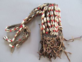 Afrika Kaurimuscheln Medizin Leder Fetisch Kauri Coqillage Ritus Voodoo Tribal Bild
