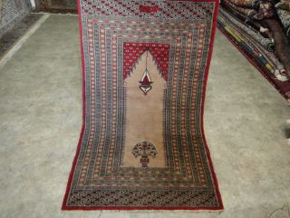 Sehr Schönem Handgeknüpfte Teppiche Perser Buchara 155 X 95 Cm Bild