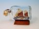 Auflösung Einer Buddelschiff Sammlung Miniatur Schiff Nr.  10 „plattschiff“ Maritime Dekoration Bild 1