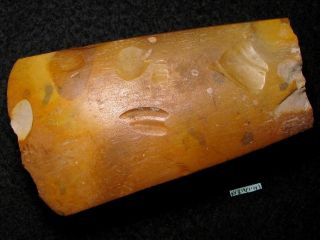5800j.  A: RaritÄt Beil Steinzeit Neolithikum Silex 115mm Trichterbecher Kultur Bild