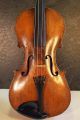 Alte 4/4 Geige,  Violine Mit Löwenkopf Und Alten Bogen Saiteninstrumente Bild 1