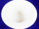 Kpm Vase / Blumentopf Weiß Trichterform 12 Cm Hoch 21 Cm Durchmesser Nach Form & Funktion Bild 2