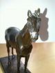 Pferd Bronze (?) Skulptur 1950-1999 Bild 1