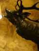 Bronze Figur Hirsch Jugendstil Bronzefigur Jagd Skulptur Sign.  Else Fürst Um1900 Bronze Bild 1