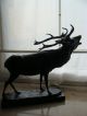 Bronze Figur Hirsch Jugendstil Bronzefigur Jagd Skulptur Sign.  Else Fürst Um1900 Bronze Bild 3