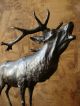 Bronze Figur Hirsch Jugendstil Bronzefigur Jagd Skulptur Sign.  Else Fürst Um1900 Bronze Bild 7
