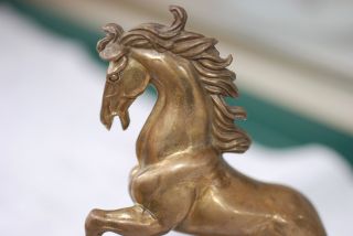 Bronze Pferd,  Sehr Dekorativ Bild