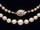 1 Tag Elegante Echte Perlenkette Mit 585er - Goldverschluss,  Akoya - Perlen,  Nachlass Ketten Bild 1