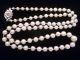 1 Tag Elegante Echte Perlenkette Mit 585er - Goldverschluss,  Akoya - Perlen,  Nachlass Ketten Bild 3