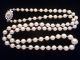 1 Tag Elegante Echte Perlenkette Mit 585er - Goldverschluss,  Akoya - Perlen,  Nachlass Ketten Bild 6